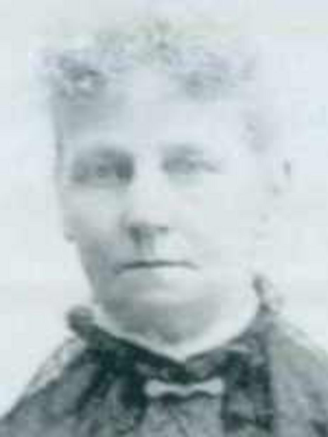 Zilpah Loader (1831 - 1919) Profile